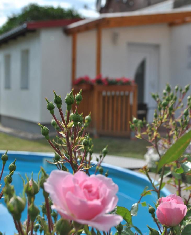 Ferienwohnung Levin 다르군 외부 사진